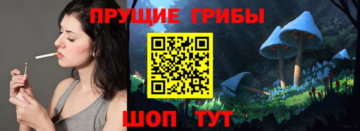 Галлюциногенные грибы Psilocybine cubensis Борзя